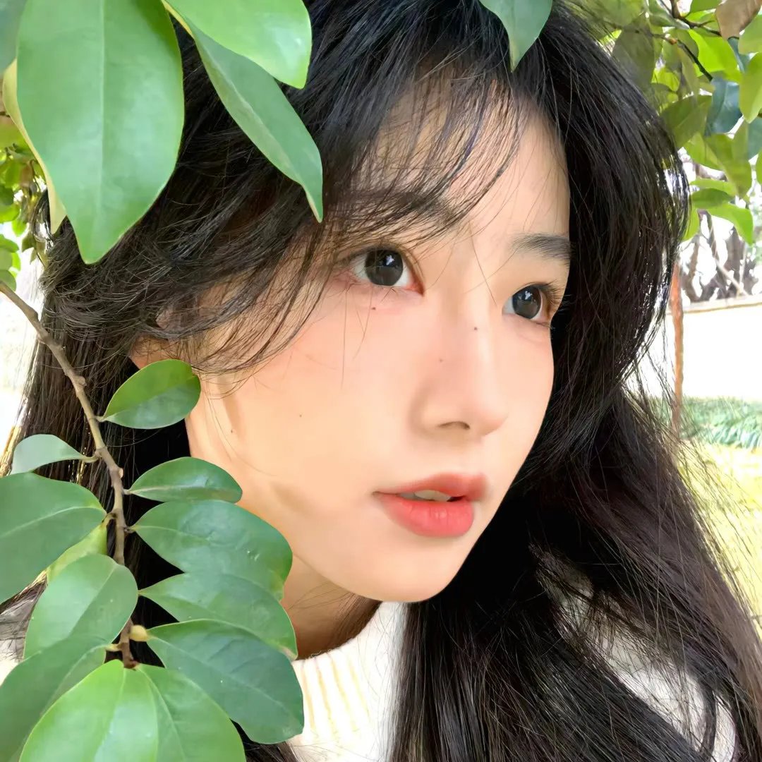 迷失在珠穆朗玛